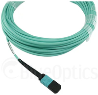 Blueoptics 3