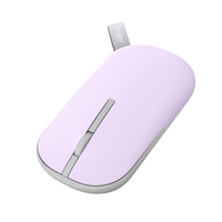 Asus 13