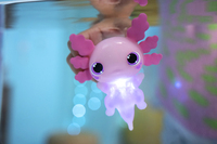 Goliath Games: Animagic Let\'s Glo Axolotl (assortimento) 5