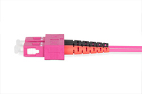 Digitus Professional 1