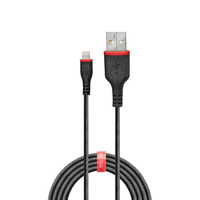 Lindy - 1m robustes USB Typ A an Lightning Kabel USB Typ A Stecker an Lightning-Stecker (31291)