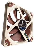 Noctua 1