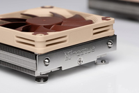 Noctua 4