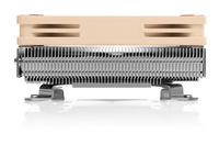 Noctua 2