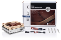 Noctua 3