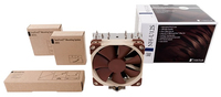 Noctua 3