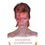 David Bowie Aladdin Sane Maxi Poster - David Bowie Aladdin Sane Maxi Poster