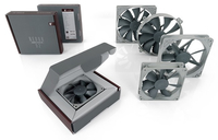 Noctua 4