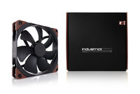 Noctua 2