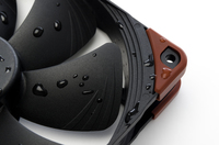 Noctua 3