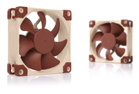 Noctua 6