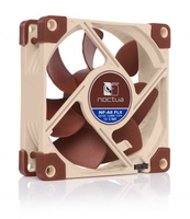 Noctua 1