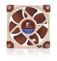 Noctua 3