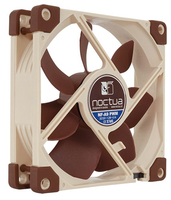 Noctua 1