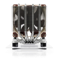 Noctua 1