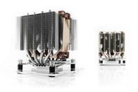 Noctua 3