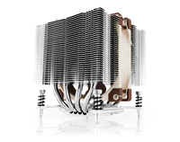 Noctua 1