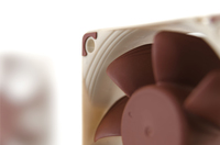 Noctua 4
