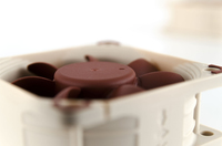 Noctua 5