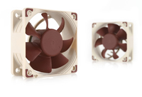 Noctua 6