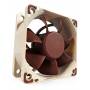 Noctua - NF-A6x25 PWM - Gehuselfter - 60 mm (NF-A6x25-PWM)