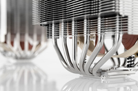 Noctua 5