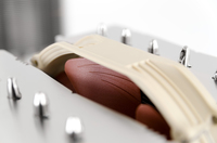 Noctua 6