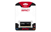 Kingston Fury 13