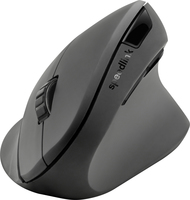 Speedlink 1