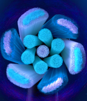 Oral-b 8