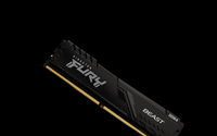 Kingston 12