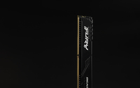 Ram 10