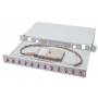 Digitus - DIGITUS LWL Spleibox 1HE bestckt 12x LC DX OM4 grau