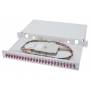 Digitus - DIGITUS LWL Spleibox 1HE bestckt 24x LC DX OM4 grau