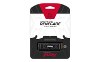 Kingston Fury 9