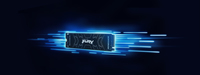 Kingston Fury 2