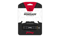 Kingston Fury 9