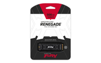 Kingston Fury 9