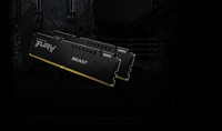 Ram 13