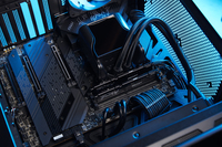 Ram 14