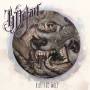 Kill the Wolf 1