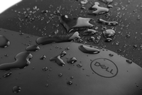 Dell 9