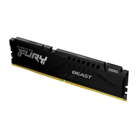 Kingston Fury 1