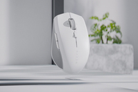 Razer 4