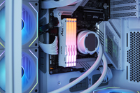 Ram 5
