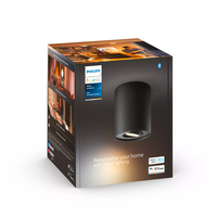 Signify Philips - Philips Hue White ambience Pillar single spotlight ext.