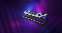 Kingston Fury 1