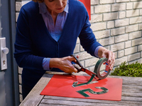 Tesa 8