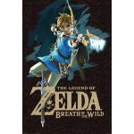 Multi-colour Zelda Breath Of Wind Game Cover Maxi Poster - Zelda Breath Of Wind Game Cover Maxi Poster, Multi-colour