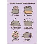 Pusheen - Pyramid International Reasons To Be A Cat Pusheen Maxi Poster, Kunststoff/glas, Mehrfarbig, 61?x 91,5?x 1,3?cm